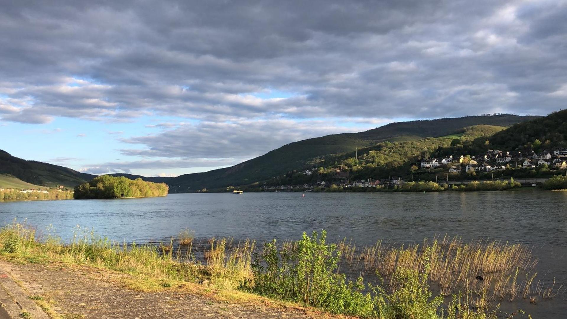 Rheinliebe Bistro Und Pension Лорх ам Рейн Екстериор снимка