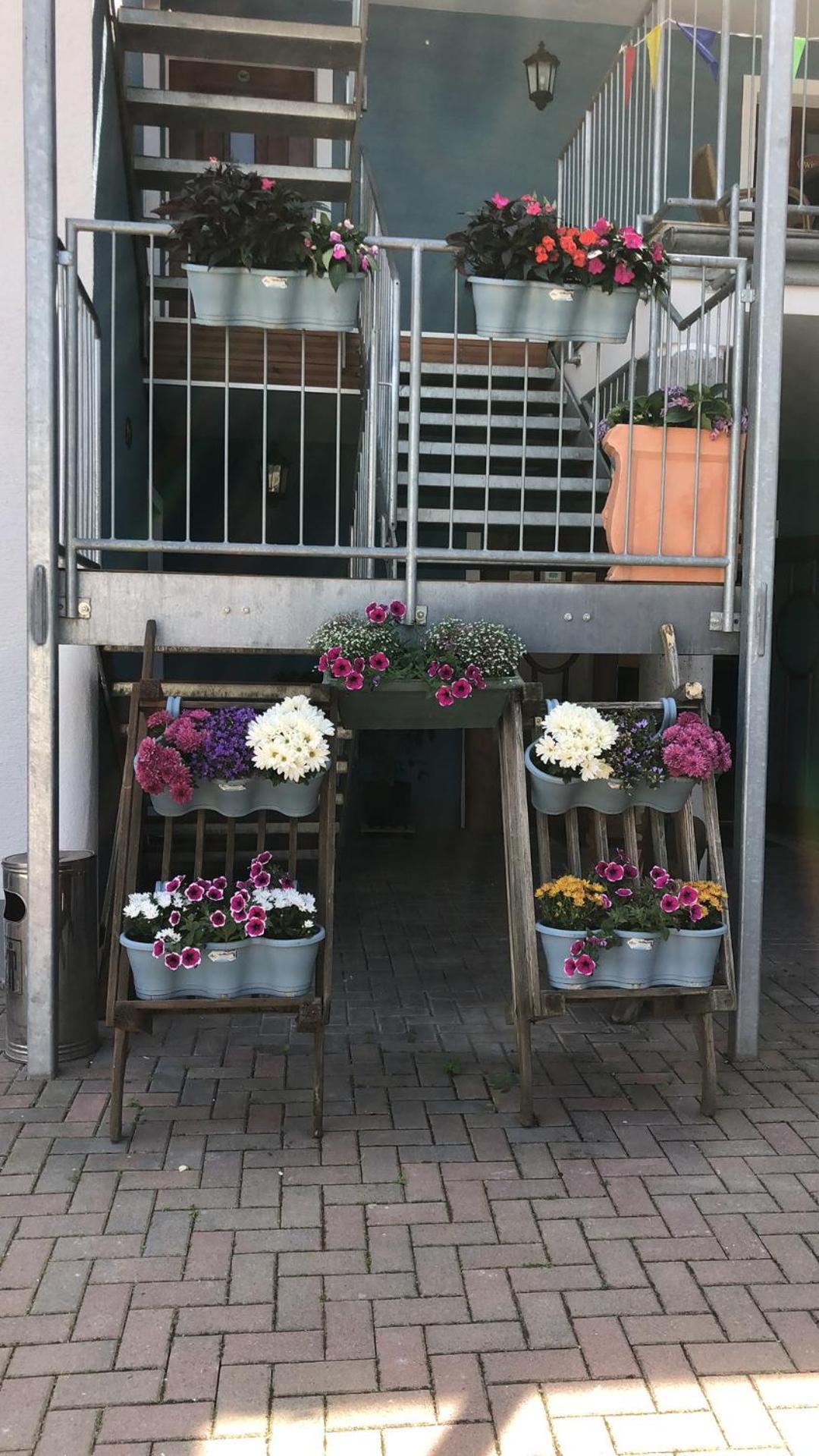 Rheinliebe Bistro Und Pension Лорх ам Рейн Екстериор снимка
